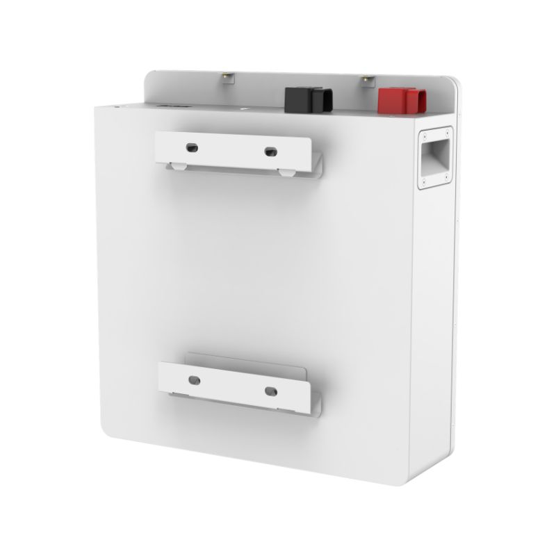 51.2V 100Ah 锂电池