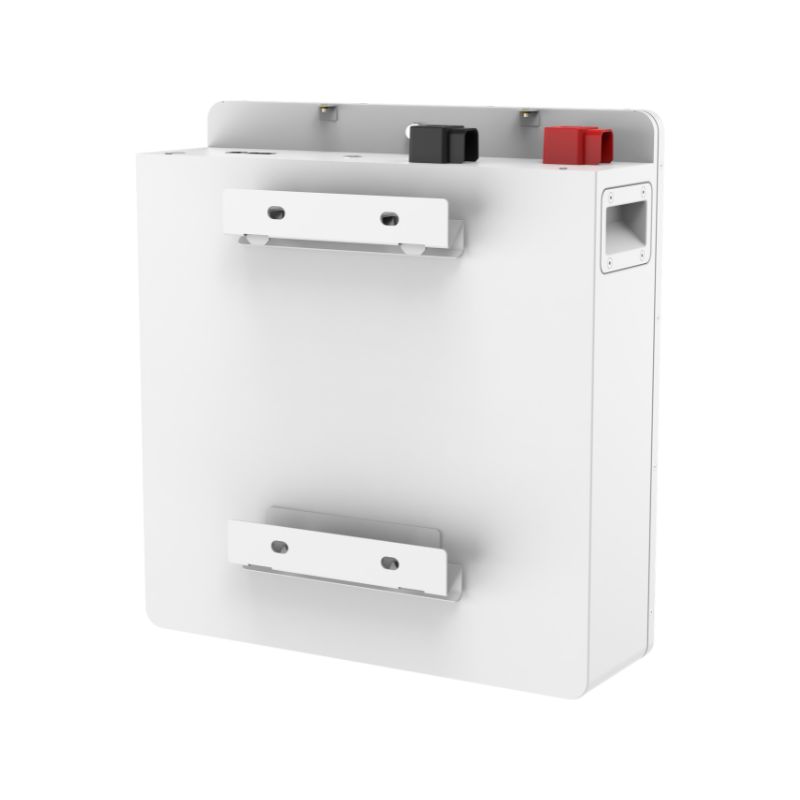 51.2V 100Ah 锂电池